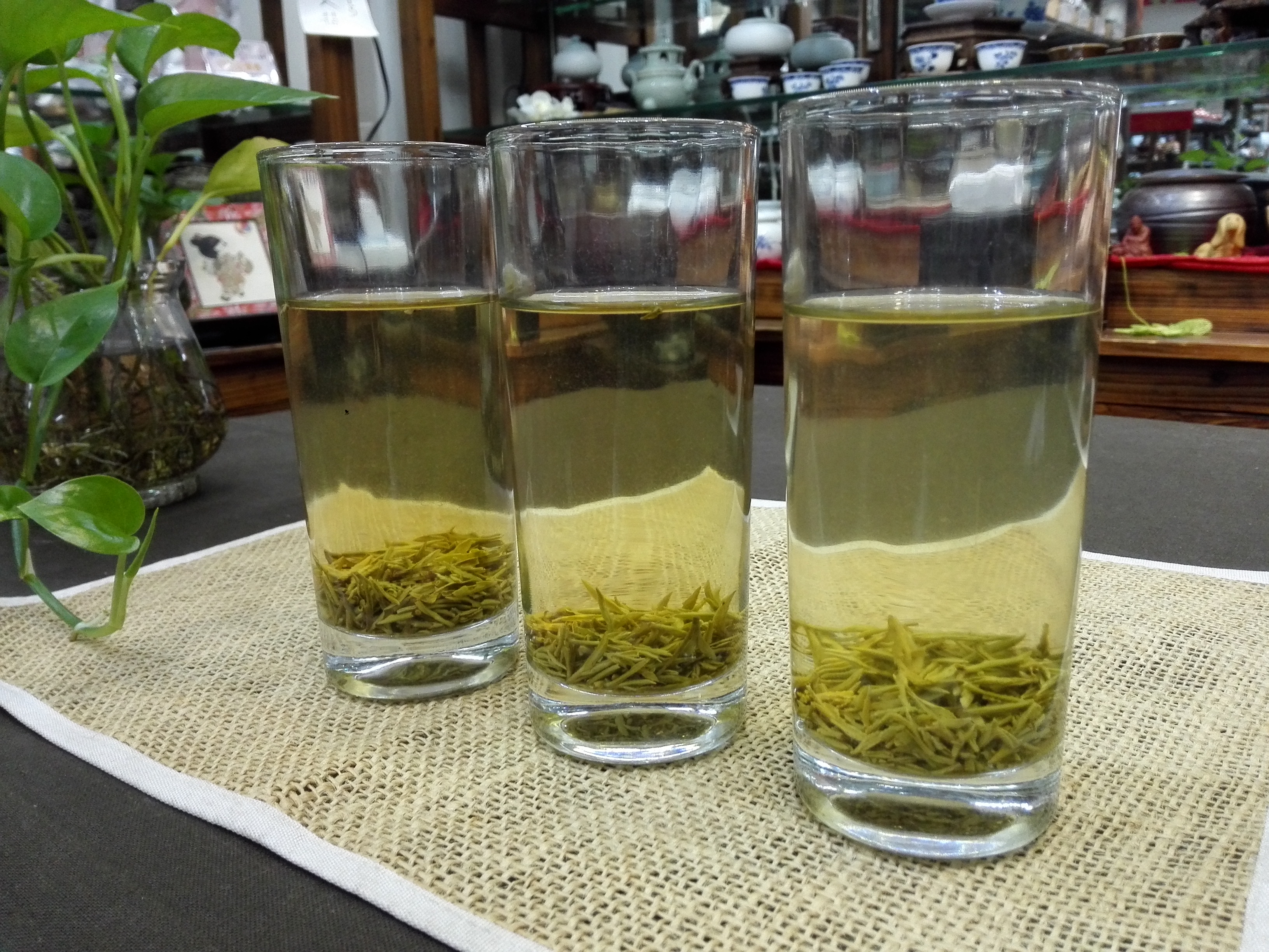 3種類の茶葉と茶湯を並べて色・香り・味を比較する様子