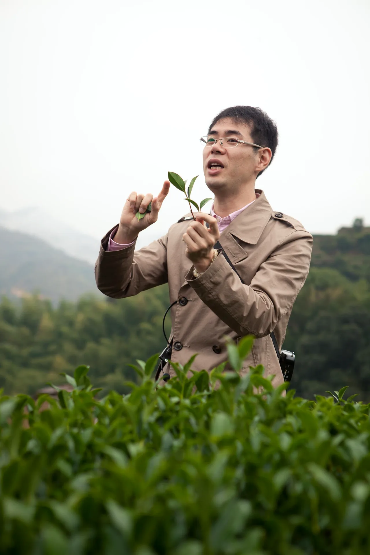 中国茶産地で摘んだ茶葉を解説する大高勇気